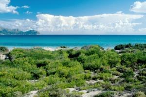Готель Benvinguts Port de Alcudia  Екстер'єр фото